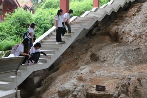 溯源海丝起点 领略千年遗韵——探寻“世遗之城”泉州的海丝记忆