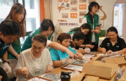 国际数字经济学院：智“汇”助老承暖意 银龄欢颜映山海